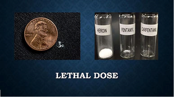 Fatal Dose